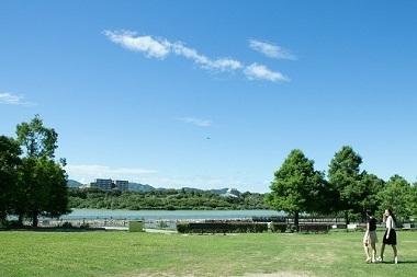昆陽池公園の写真