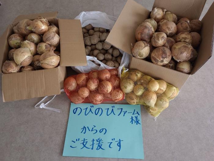 のびのびファームで収穫されたじゃがいもと玉ねぎ