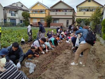 瑞穂小学校地区社協芋ほり大会写真