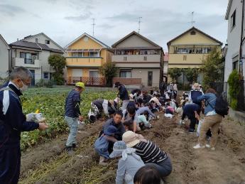 瑞穂小学校地区社協芋ほり大会写真