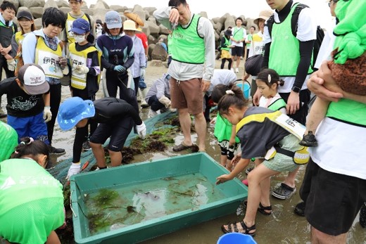採取した生き物を観察している様子