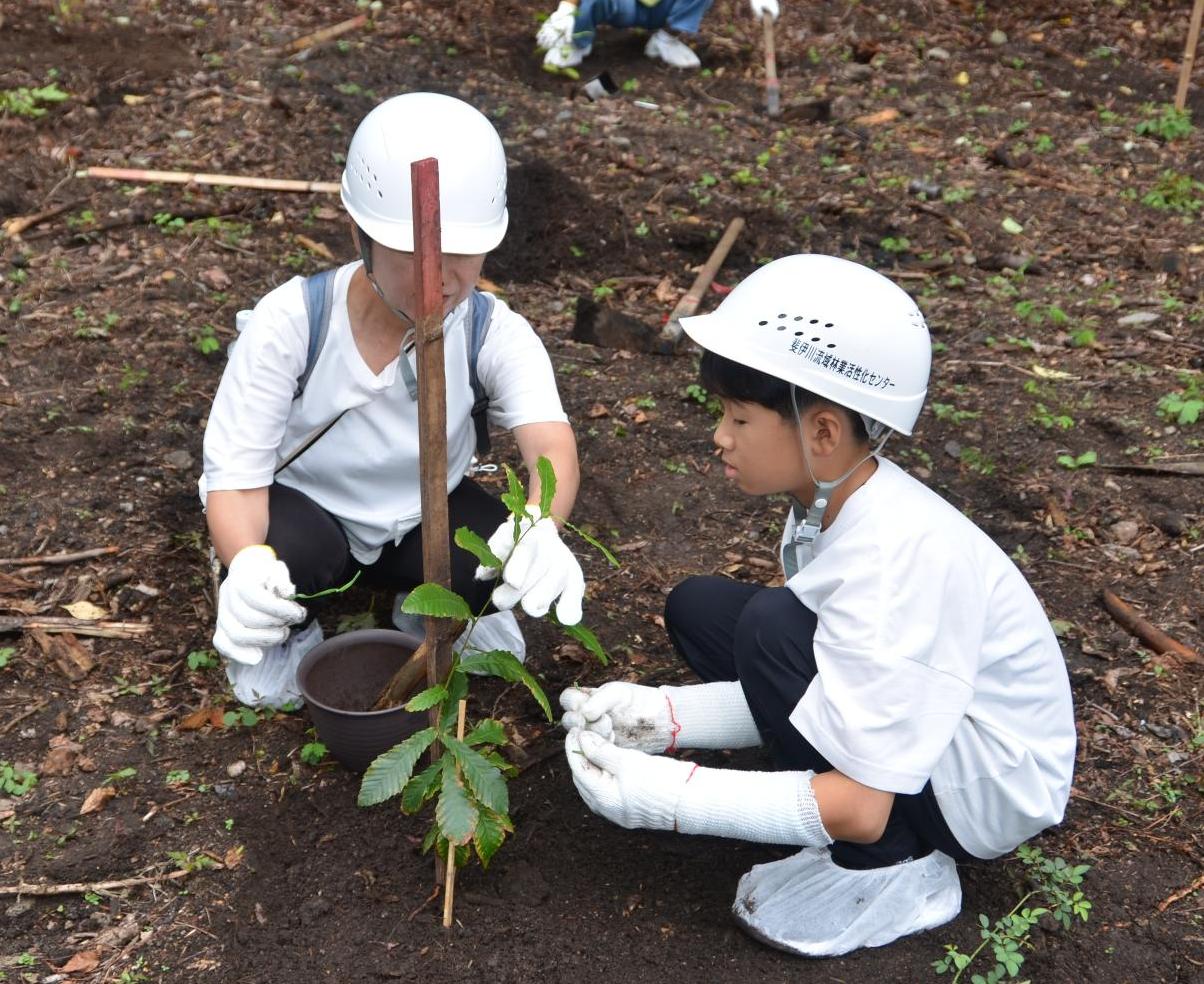 植林している様子
