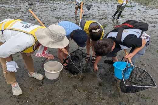 海で生き物を採取している様子