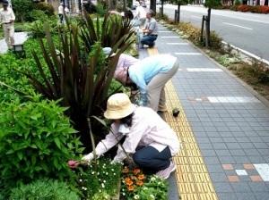 宮ノ前緑地を育てる会