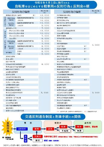 青切符制度導入のチラシ裏面