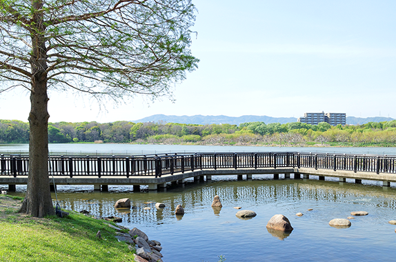 公園・自然