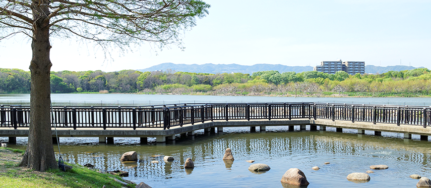 公園・自然