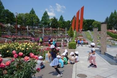 荒牧バラ公園の写真