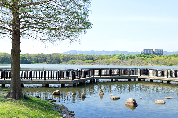 公園・自然