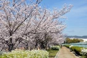 瑞ケ池公園の写真