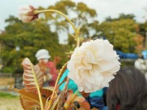 玖島桜の写真