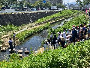 投網を投げる様子