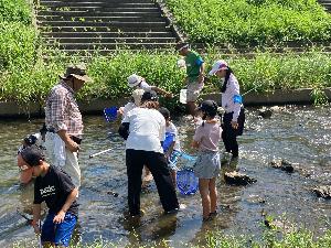 川に入って魚やエビをとっている様子