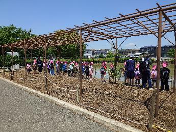 taue3