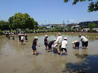 taue4