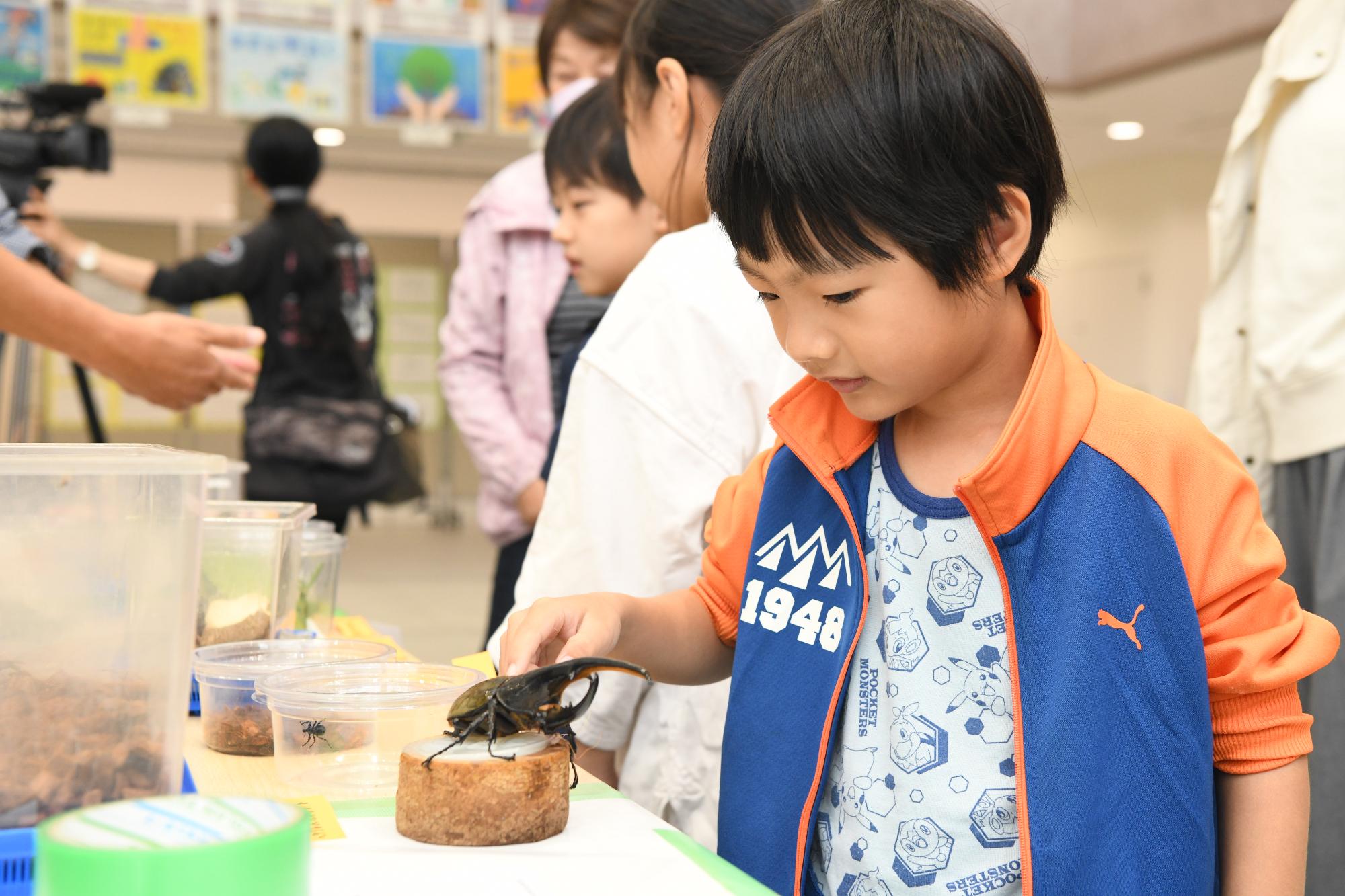 カブトムシを観察している様子