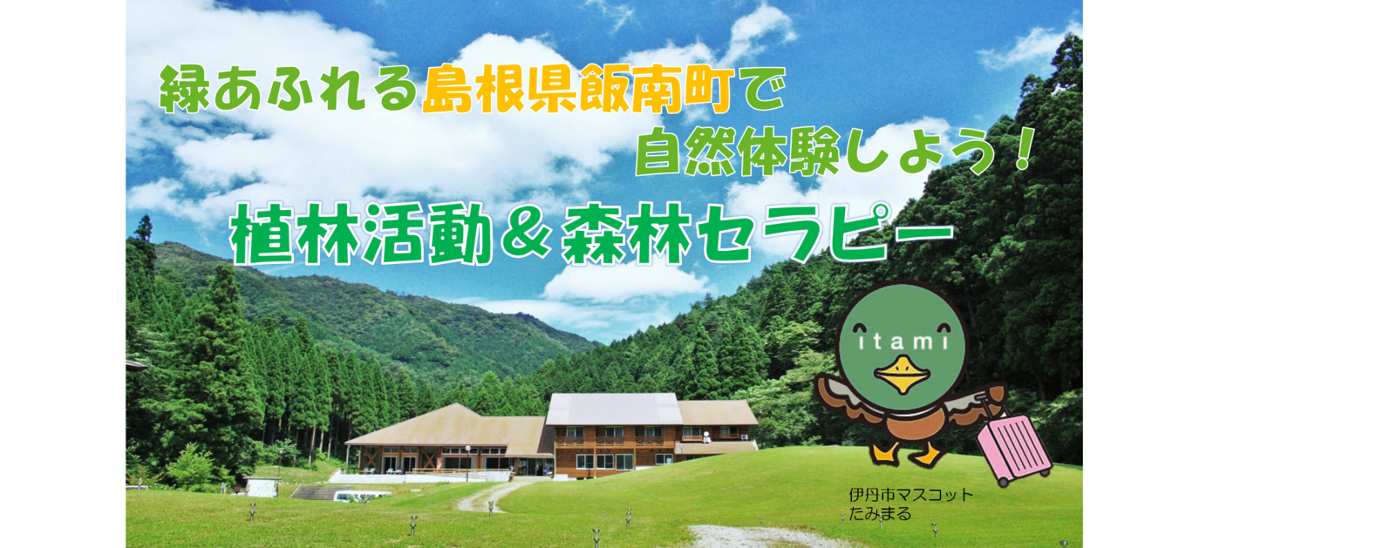 飯南町で自然体験 植林活動＆森林セラピー