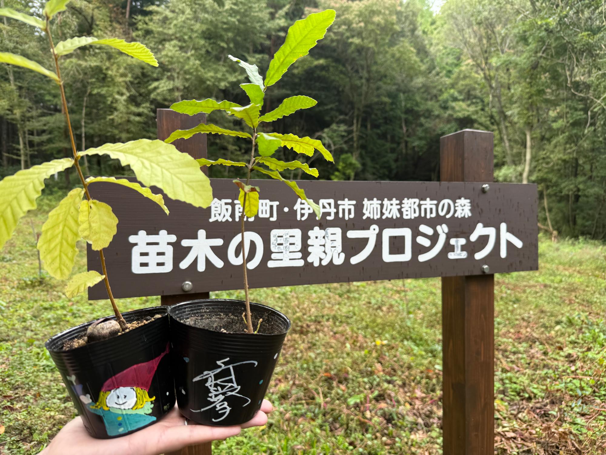 上村愛子さんのポッドと植林場所
