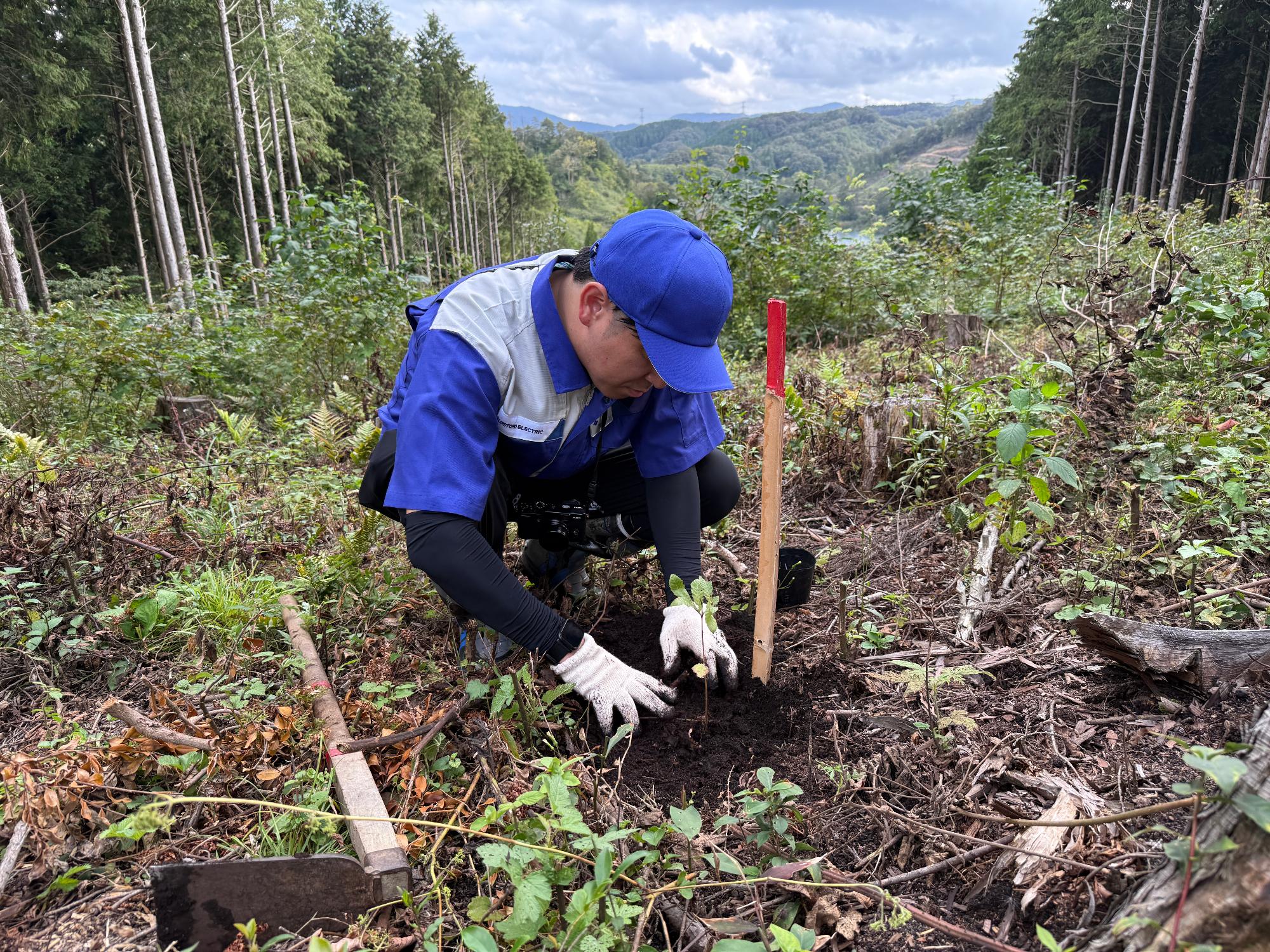 植林作業の様子