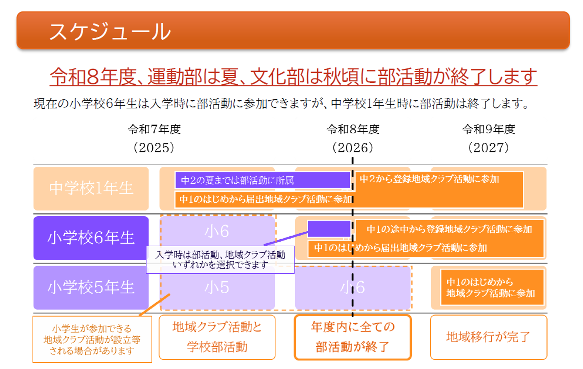 スケジュール