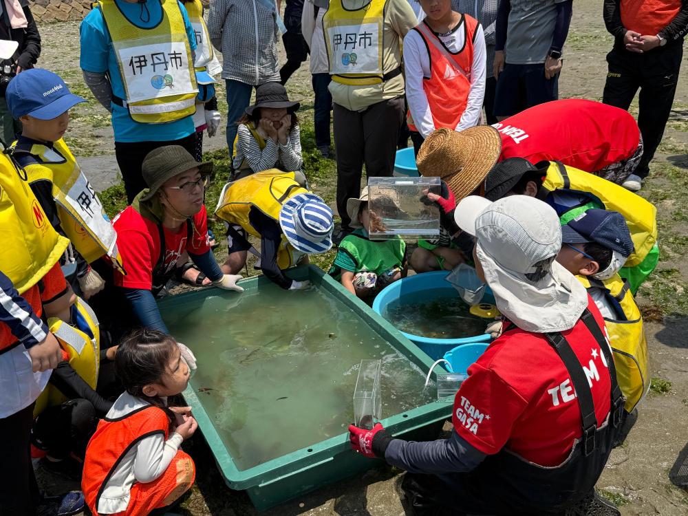 生き物観察会