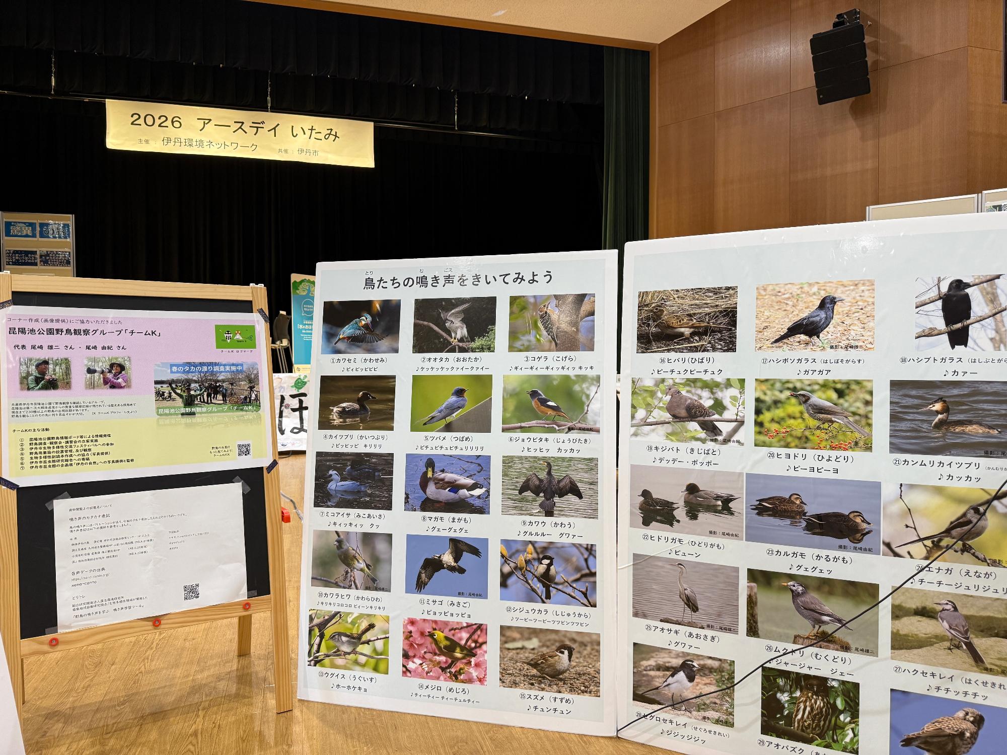 昆陽池に集まる野鳥の画像パネル