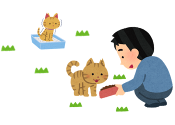 地域猫活動で野良猫のえさやりやトイレを管理する人のイラスト