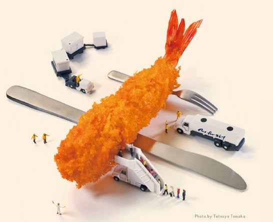 Fry to Fly project