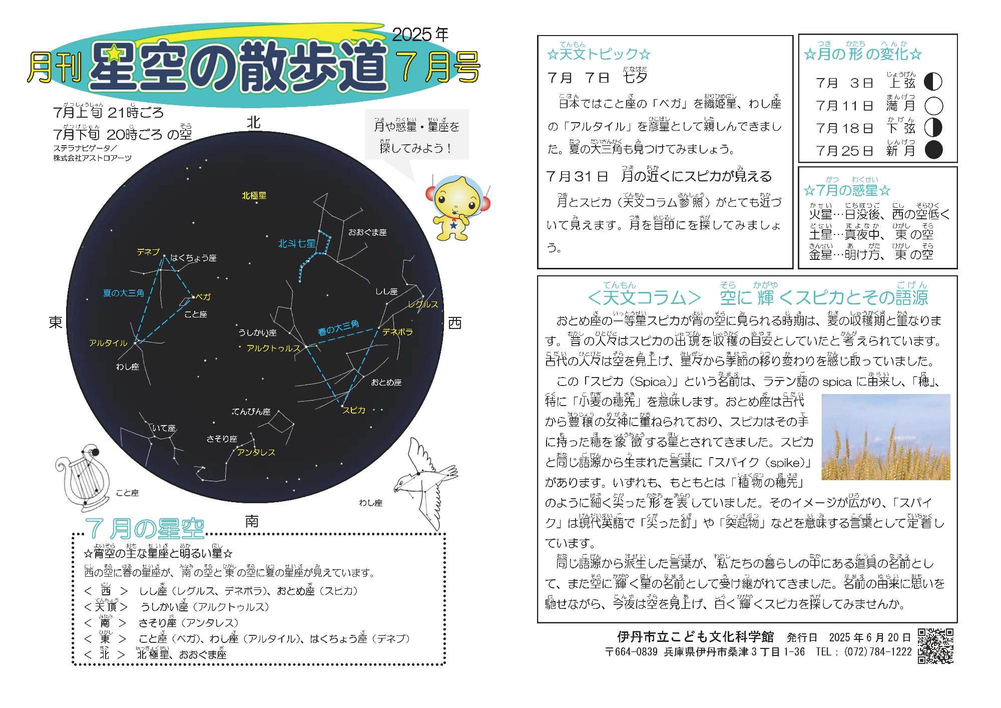 散歩道2025年7月