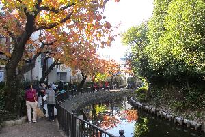 令和7年度史跡清掃の様子(御願塚古墳)