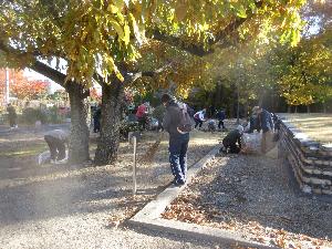令和7年度市内史跡一斉清掃(伊丹廃寺跡)