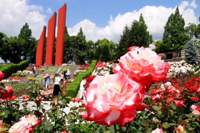 バラの花壇や大型モニュメント