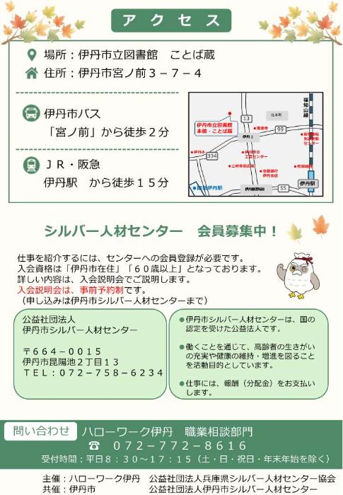 ちらし裏面