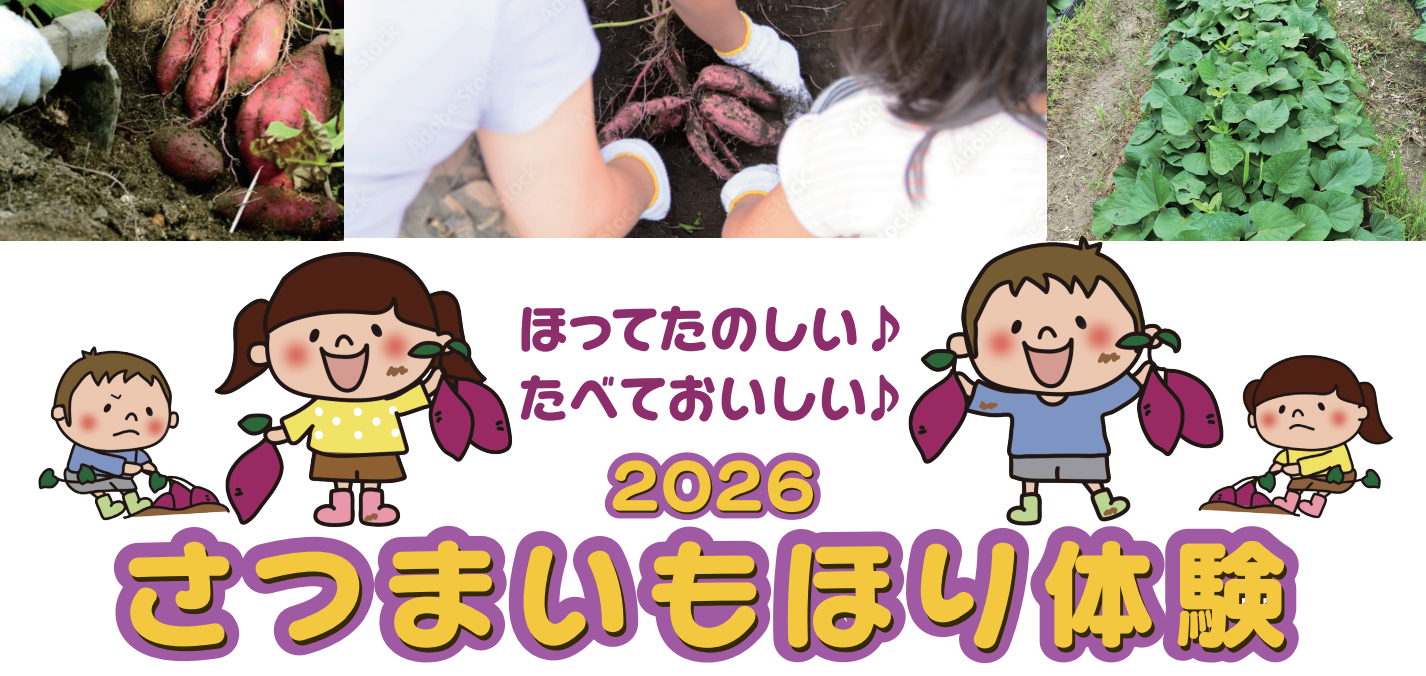 伊丹市農業研究会さつまいもほり