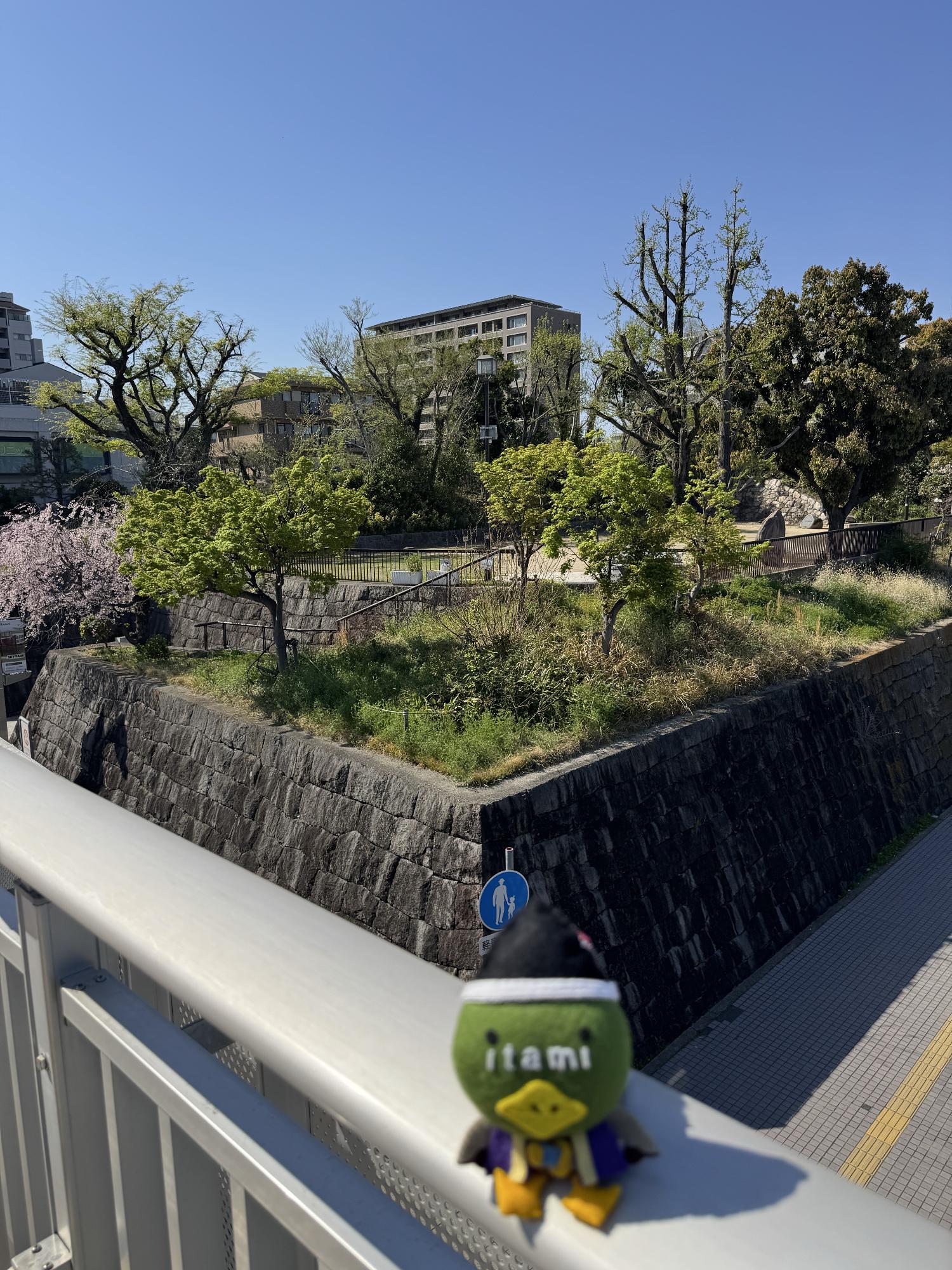 JR伊丹駅前の陸橋から有岡城跡を臨む、村重たみまるのぬいぐるみ