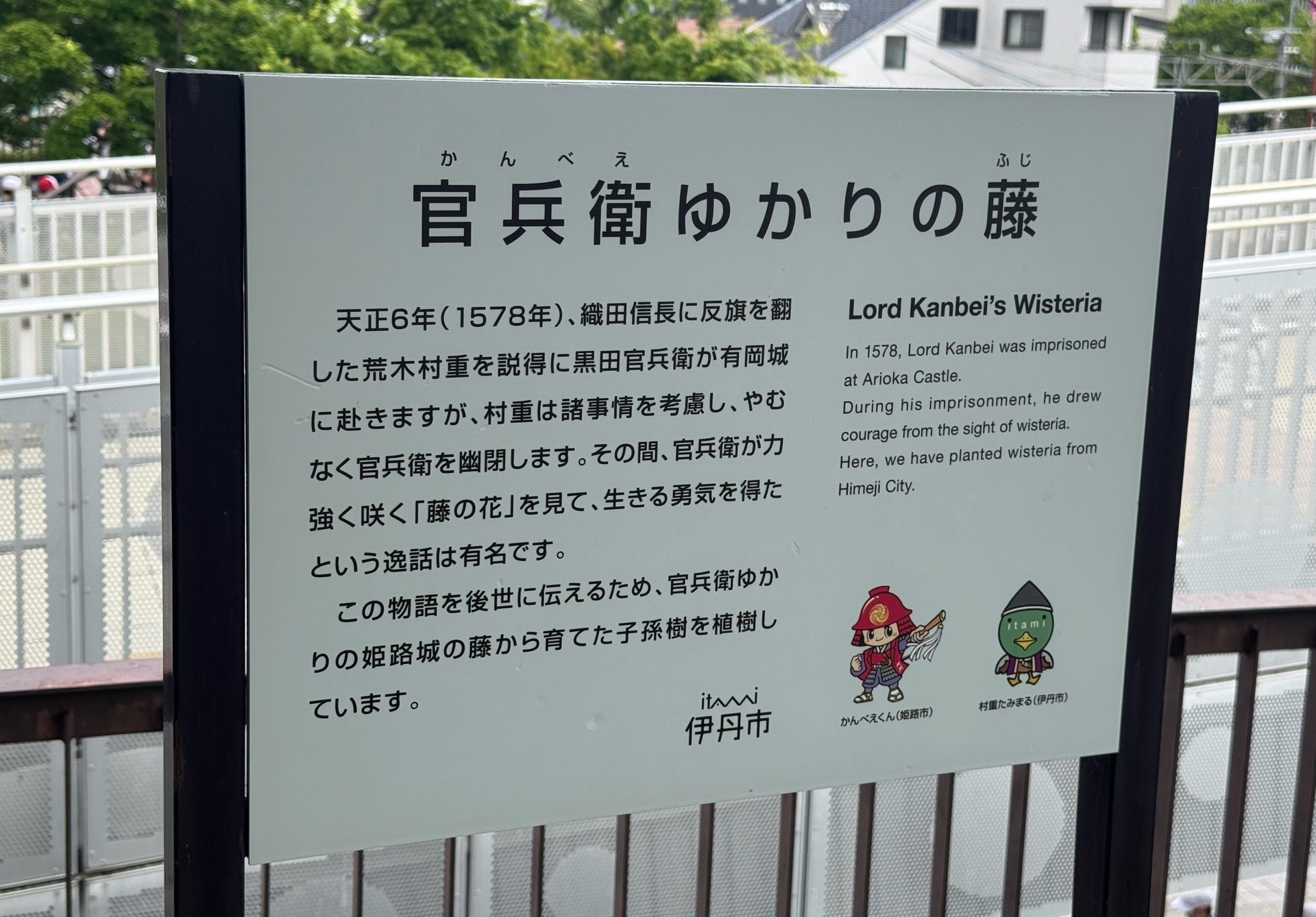 黒田官兵衛ゆかりの藤についての看板
