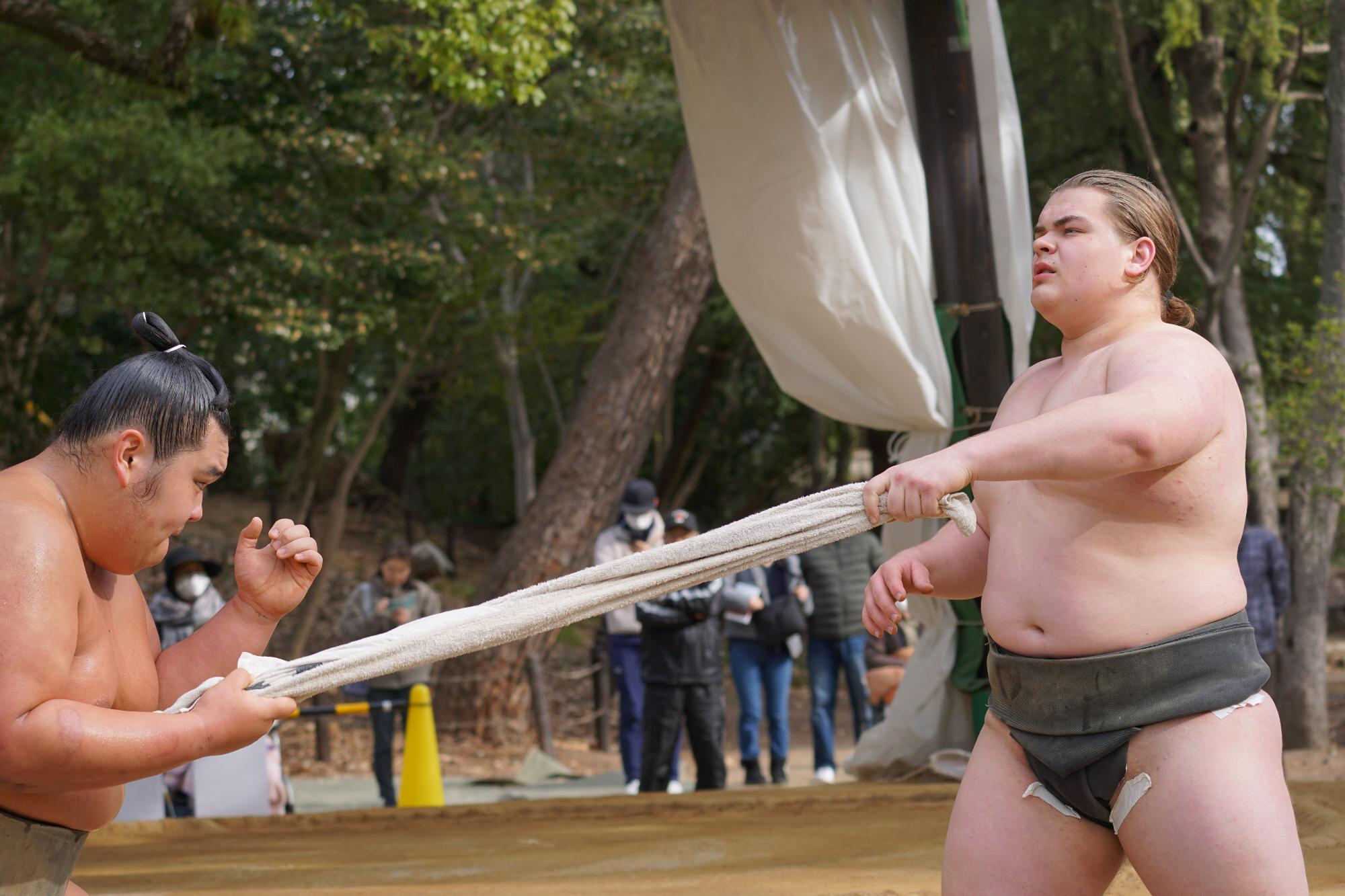 秀ノ山部屋の力士2人がタオルで練習する姿