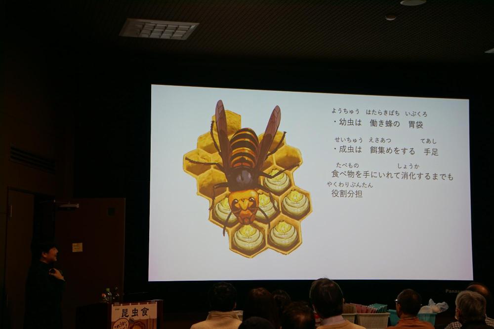 伊丹市昆虫館企画展トークショー