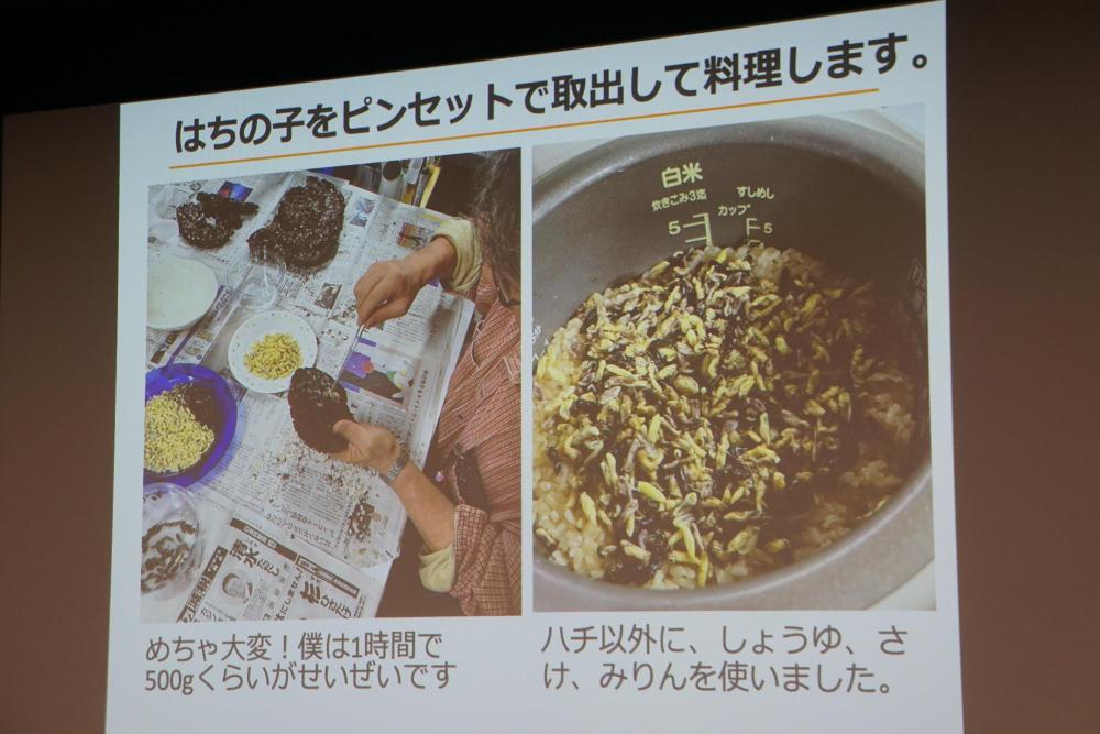 伊丹市昆虫館昆虫食はちの子写真