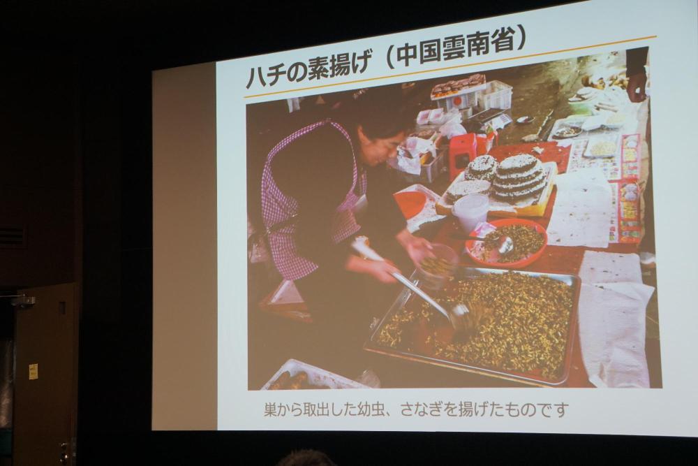伊丹市昆虫館昆虫食ハチの素揚げ
