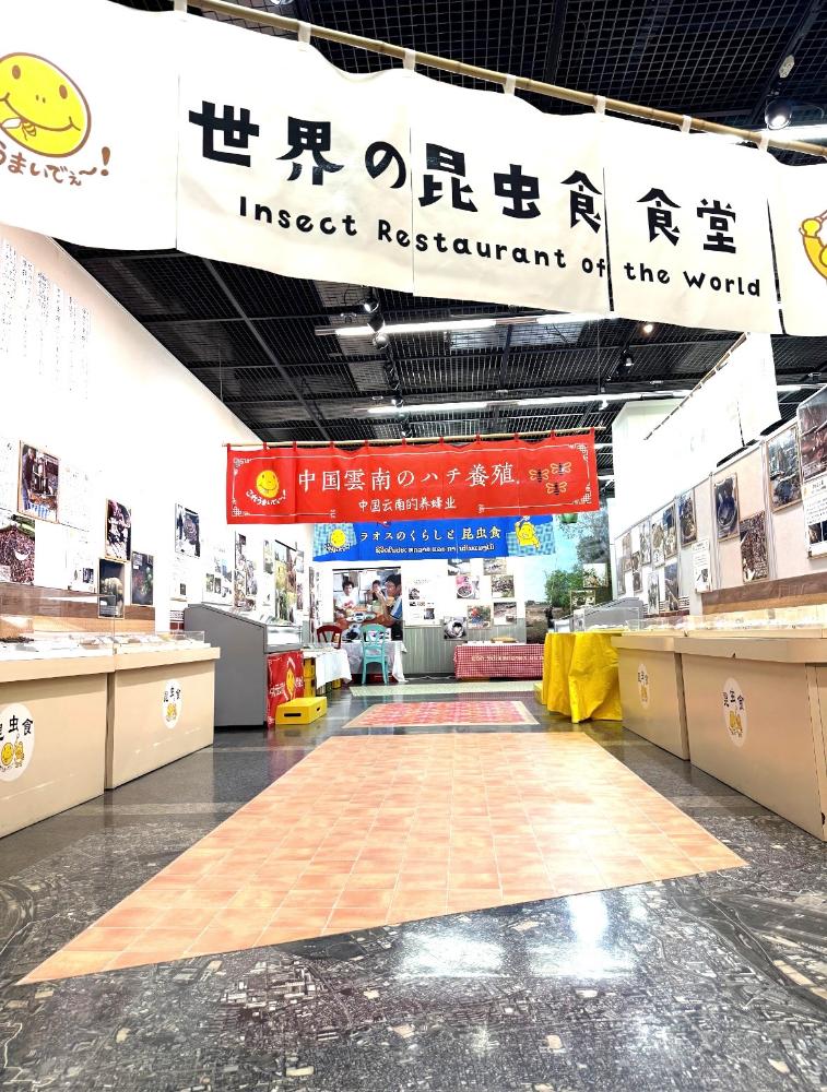 伊丹市昆虫館企画展入り口の各国のれん