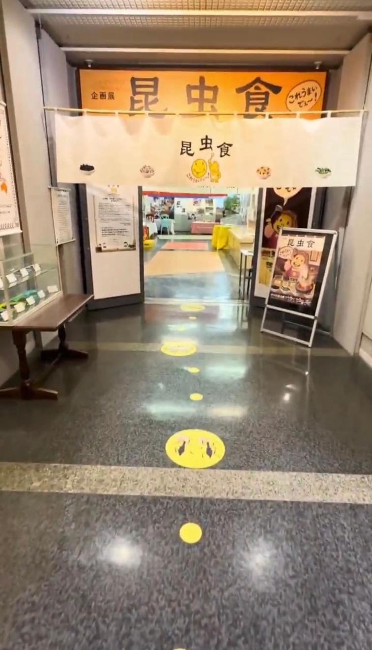 伊丹市昆虫館企画展入り口ののれん