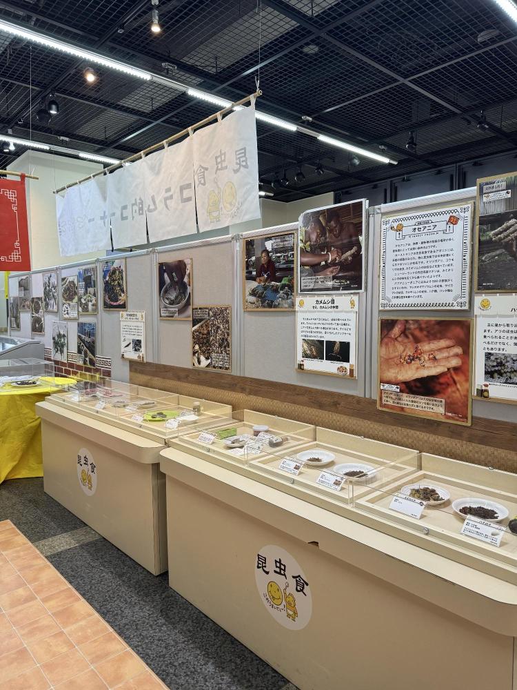 伊丹市昆虫館企画展昆虫食サンプル