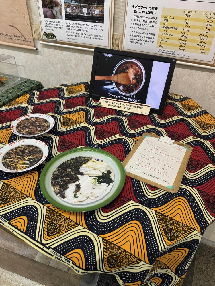 伊丹市昆虫館企画展昆虫モパ二ワークのご飯