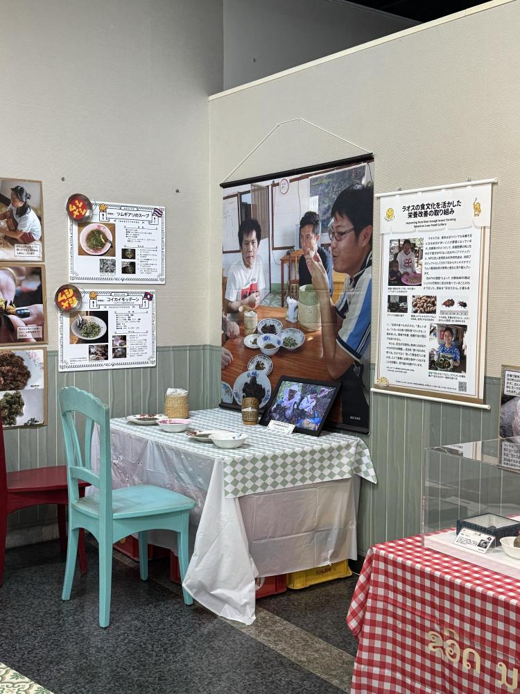 伊丹市昆虫館企画展ラオスの食事風景