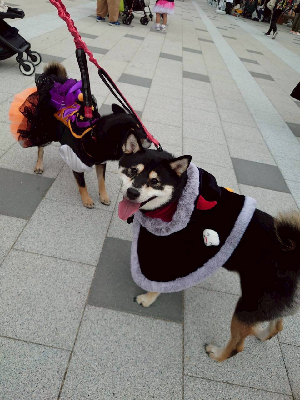 いたみハロウィンパークあんどツアー3