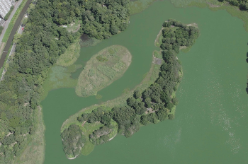 昆陽池公園内の日本列島の形の島