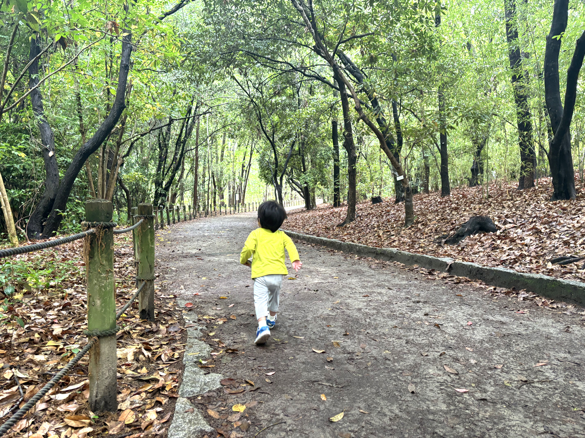 こんちゅうかんからこやいけへつづくみちを走る男の子