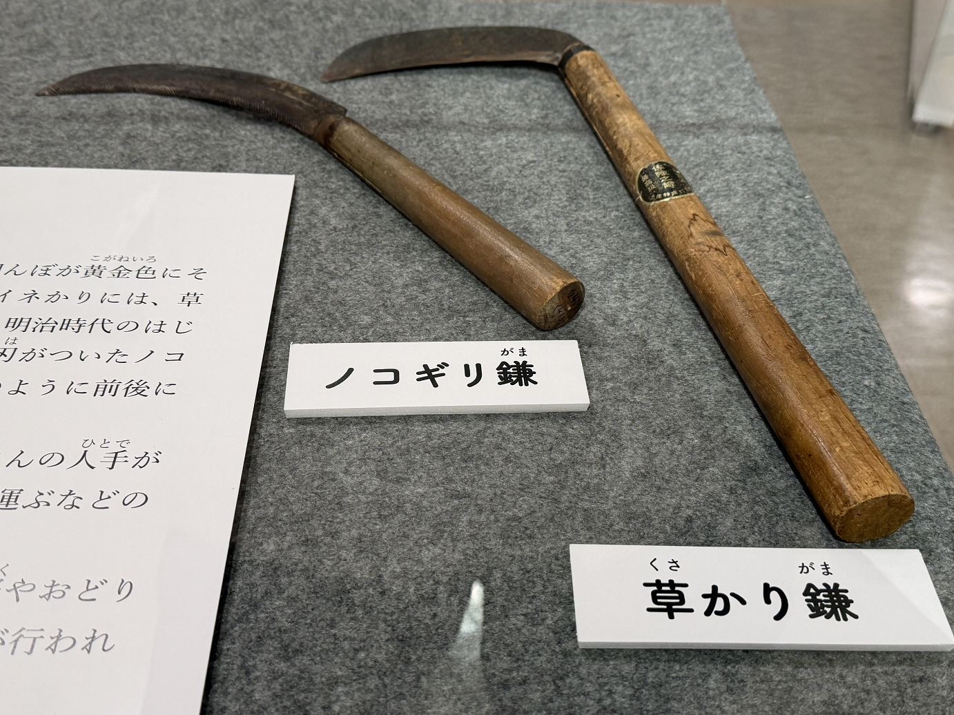 ノコギリ鎌と草かり鎌