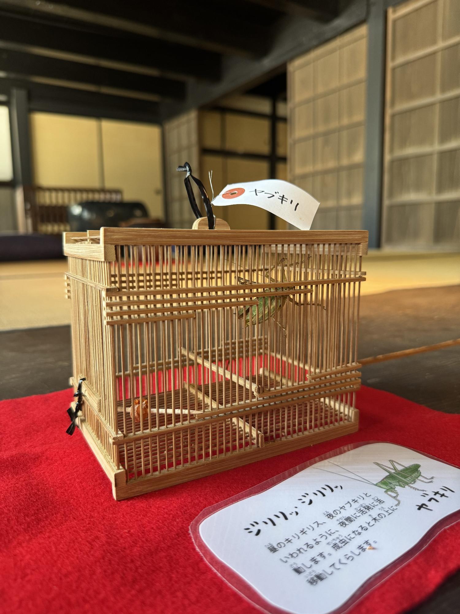 なくむしとごうちょうミュージアムのむしかご